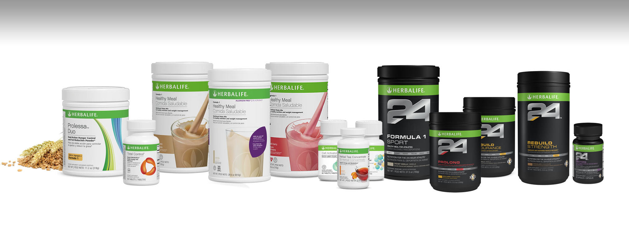 Formula 1 Healthy Meal Nutritional Shake Mix, Allergen-Free - Herbalife  Prices